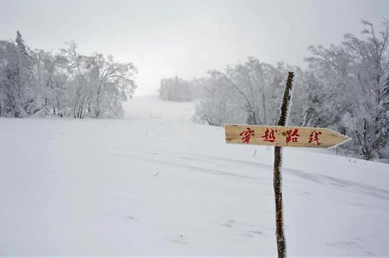 东升——乐不思蜀的雪谷世界
