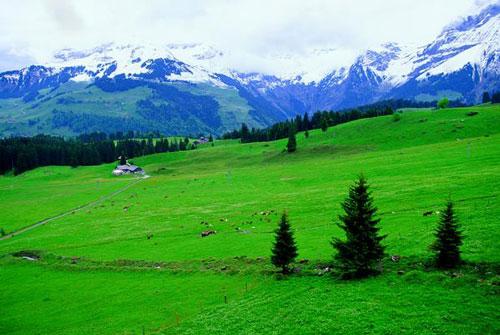 新西兰旅游体验 新西兰旅游团购优惠