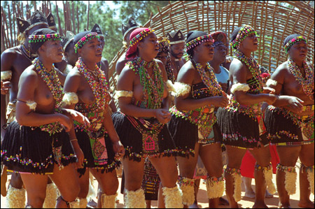 东非大裂谷之下的广阔的马赛平原