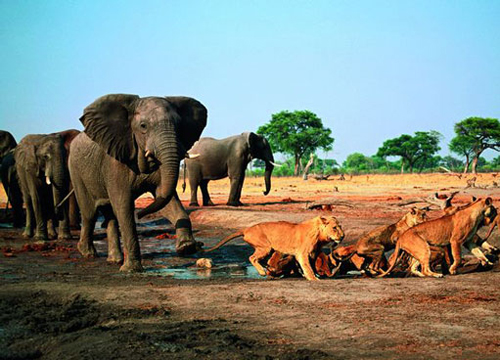 开车进入贾沙梅尔的途中都会看到这座雕像静静地待在那儿