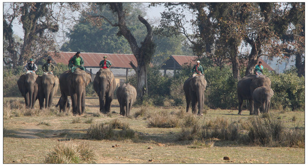巴布吉只是登布雷· 拉伊和贾沙梅尔之间的沙漠中一个名为克鲁的小村庄的首领