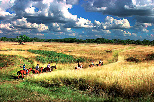 去非洲旅游线路 景点 团购价格