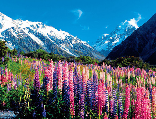 牙买加对中国游客免签政策正式实施